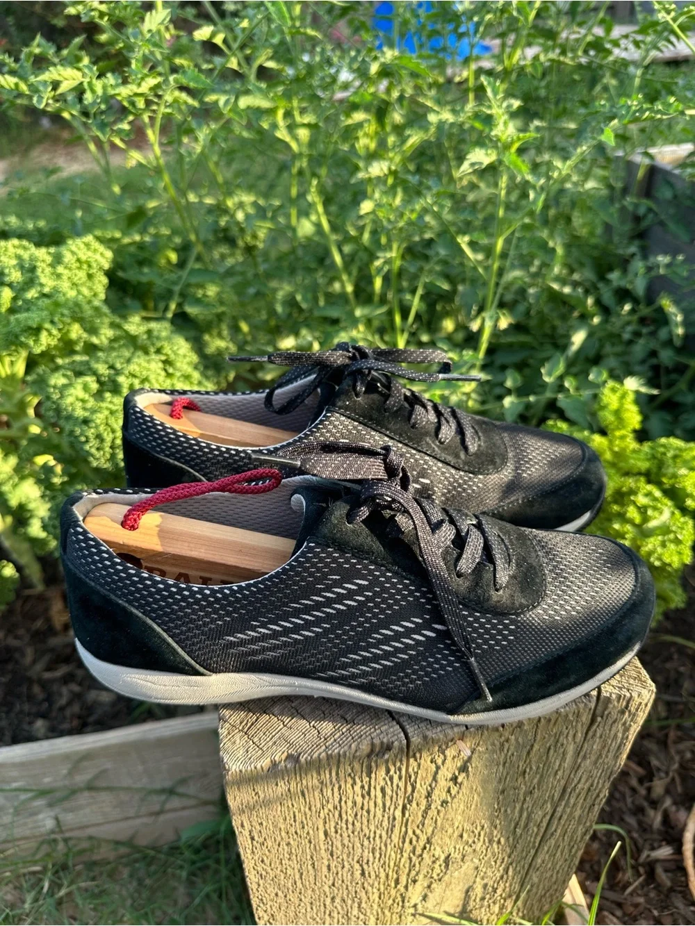 Dansko Women's EU 39 US 8.5-9 Hayes Walking Shoes Leather Lace Up Sneakers